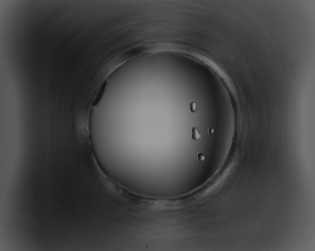 X0000099990905200806061542