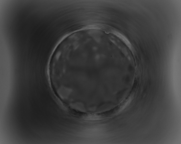 X0000099990907200806061542