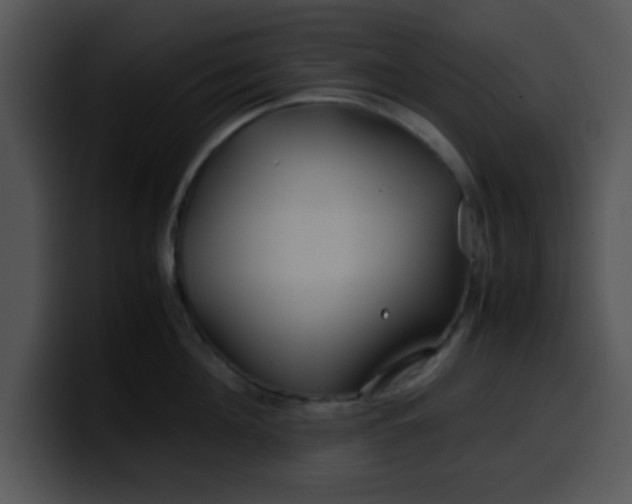 X0000099990908200806061542