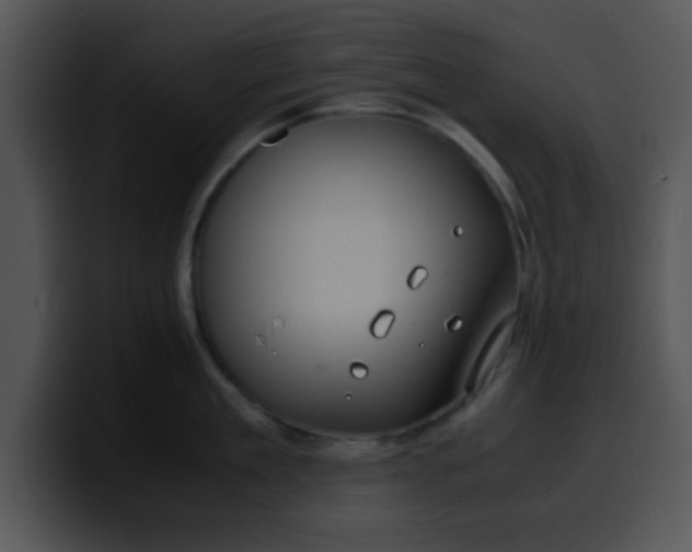 X0000099990909200806061542