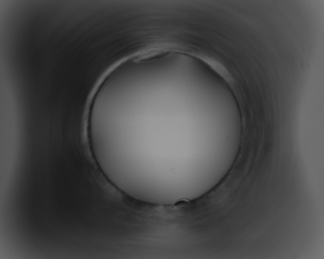 X0000099990912200806061542