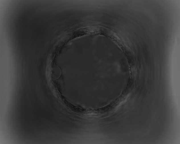 X0000099990913200806061541