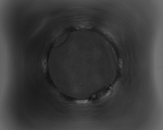 X0000099990915200806061541