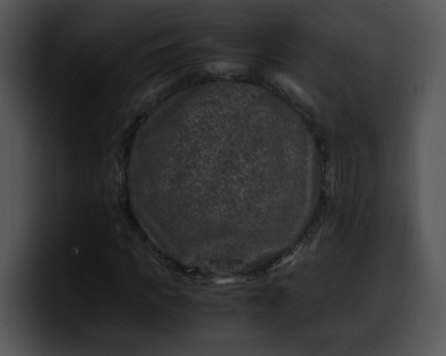 X0000099990917200806061541