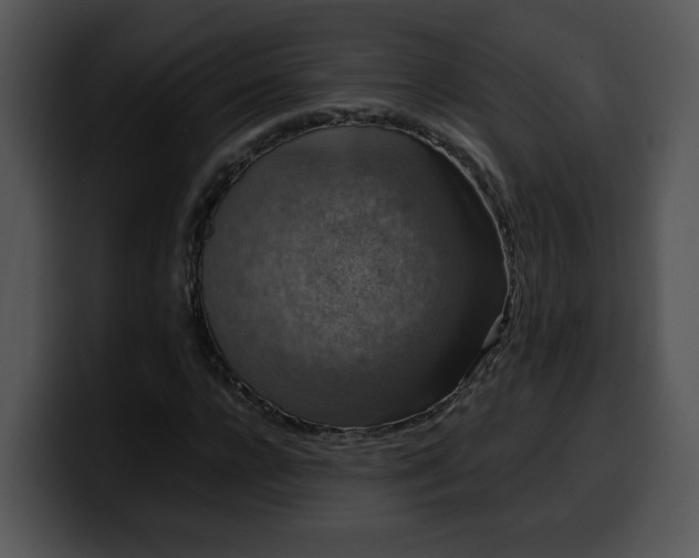 X0000099990920200806061541