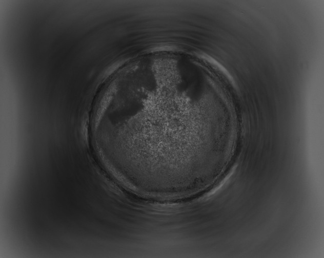 X0000099990921200806061541