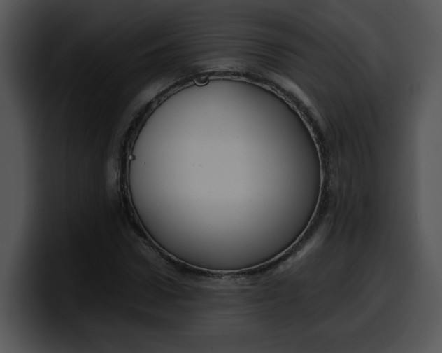 X0000099990922200806061541