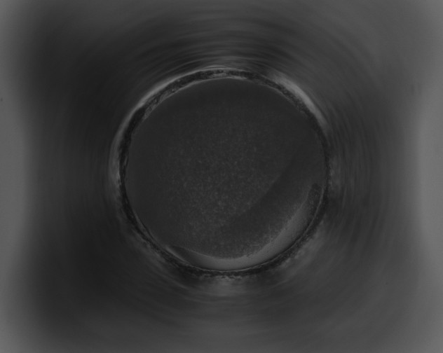 X0000099990923200806061541