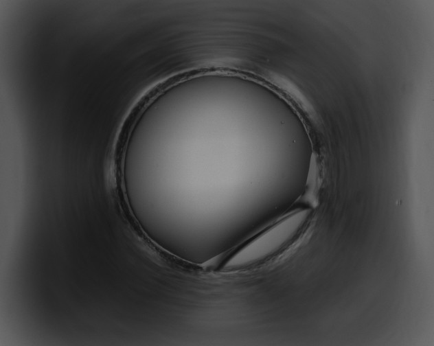 X0000099990924200806061541