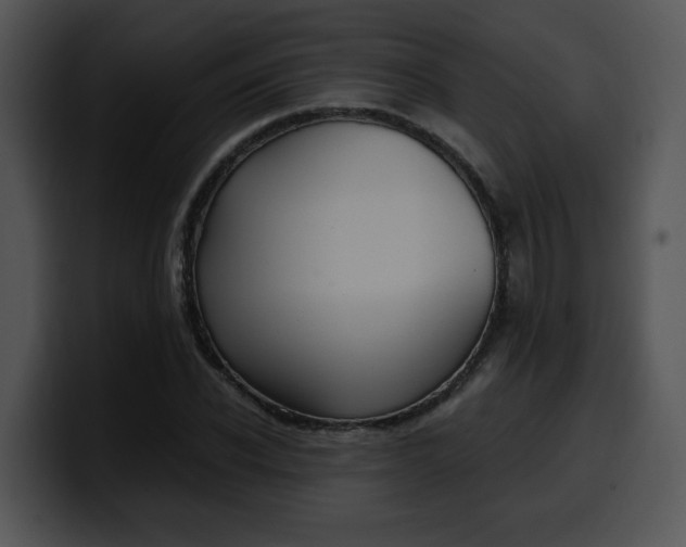 X0000099990926200806061541