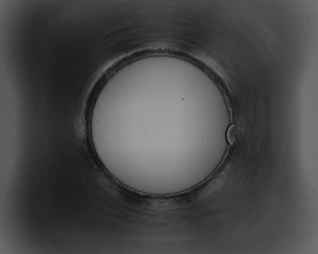 X0000099990927200806061541