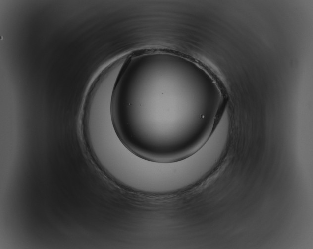 X0000099990928200806061541