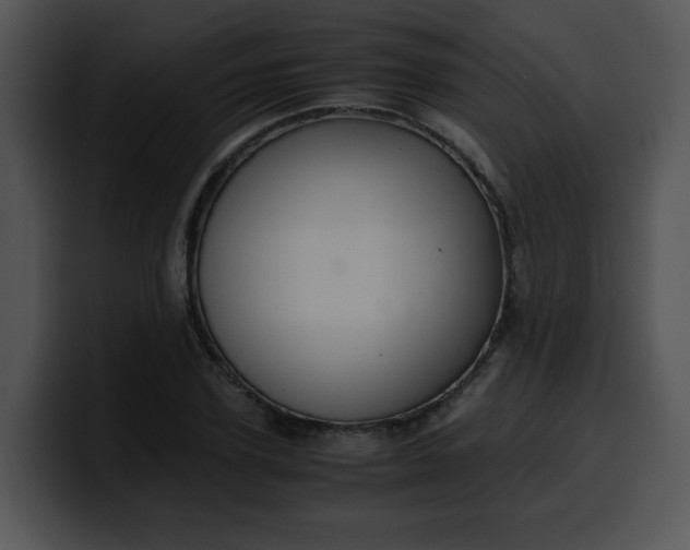 X0000099990931200806061541