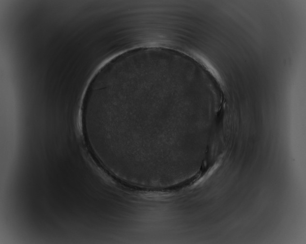 X0000099990932200806061541