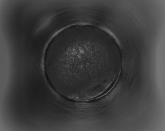 X0000099990935200806061541