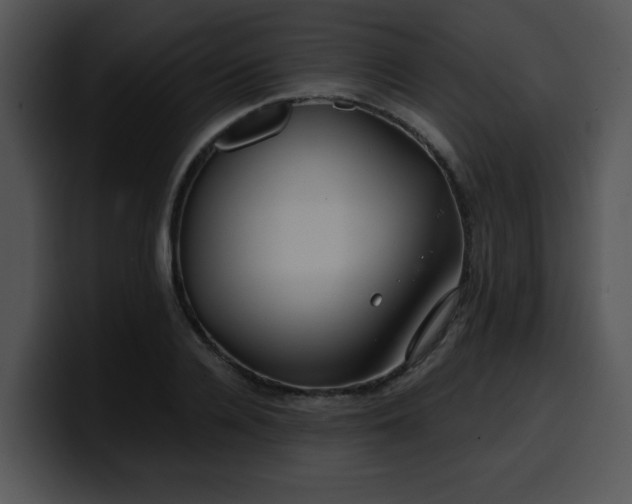 X0000099990936200806061541