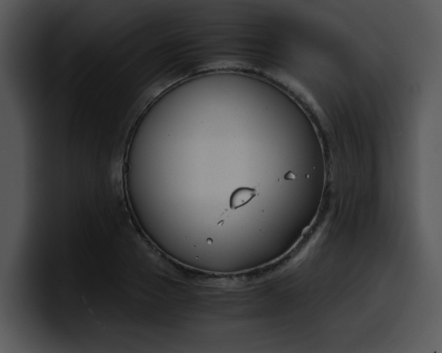 X0000099990937200806061541