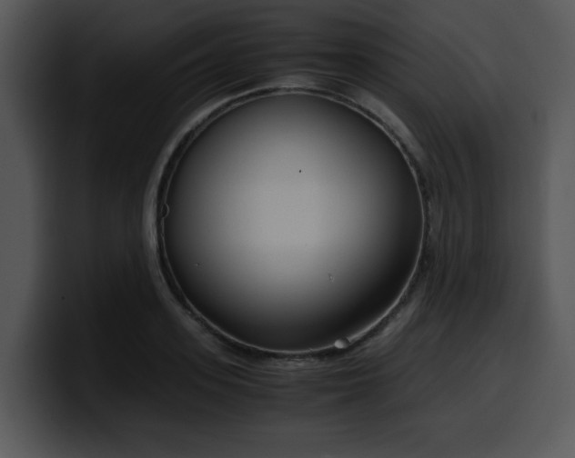 X0000099990939200806061541