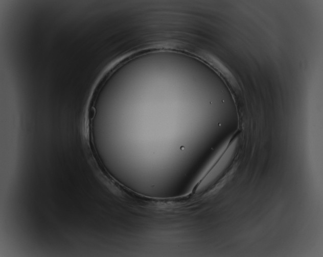 X0000099990940200806061541