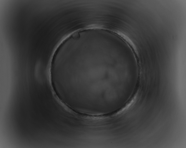 X0000099990941200806061541