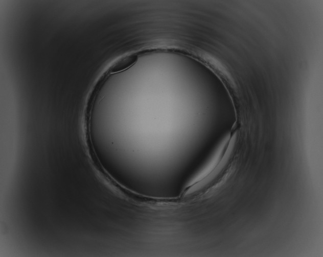 X0000099990942200806061541