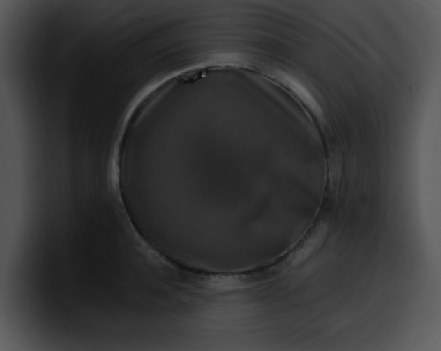 X0000099990944200806061541