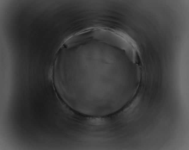 X0000099990945200806061541