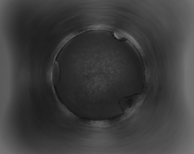 X0000099990946200806061541