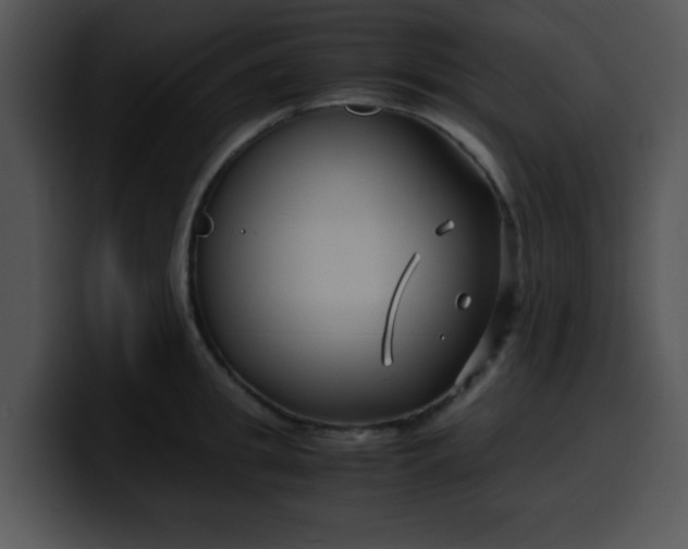 X0000099990949200806061541