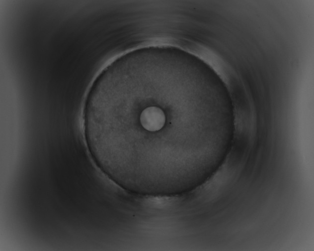 X0000099990950200806061541