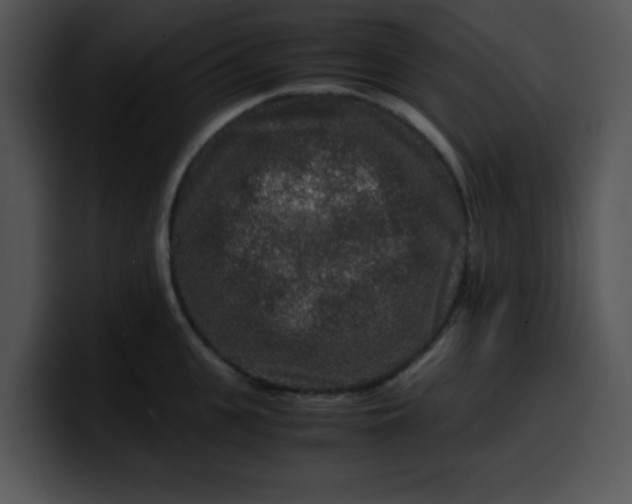 X0000099990951200806061541