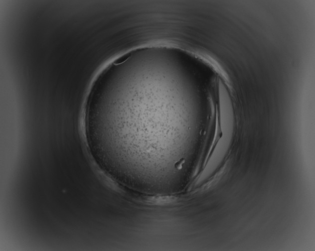 X0000099990952200806061541