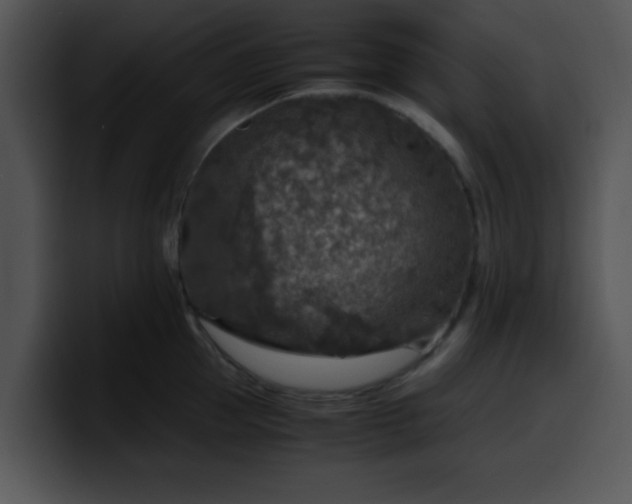 X0000099990953200806061541