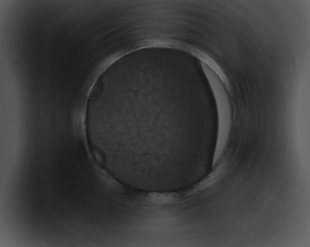 X0000099990954200806061541