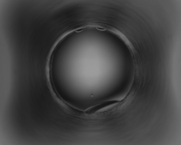 X0000099990955200806061541