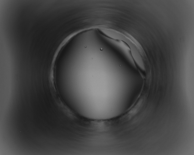 X0000099990956200806061541