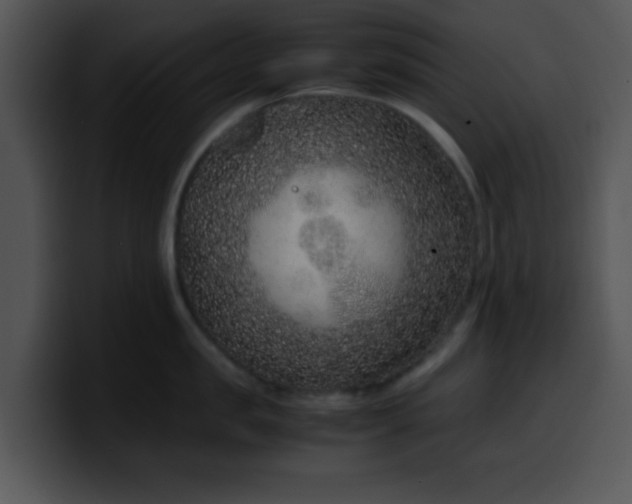 X0000099990957200806061541