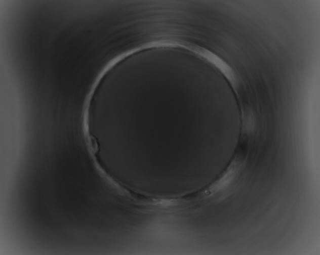 X0000099990958200806061542