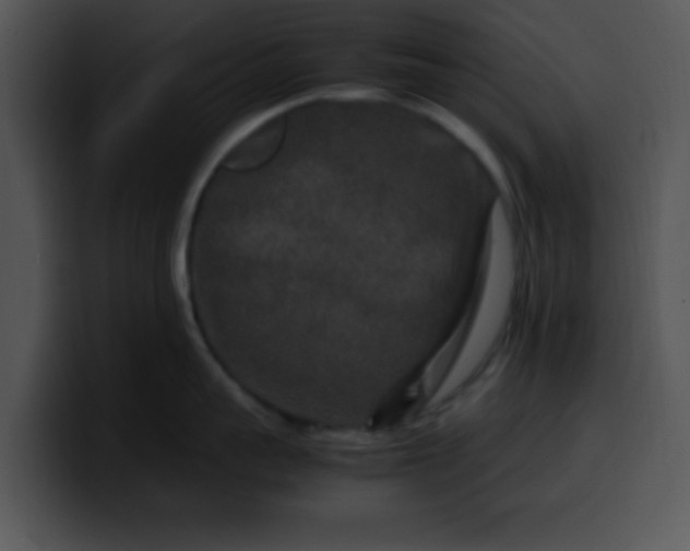 X0000099990959200806061542