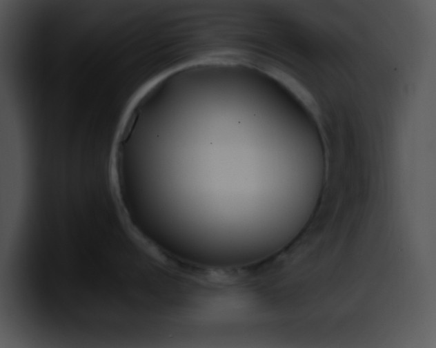 X0000099990960200806061542