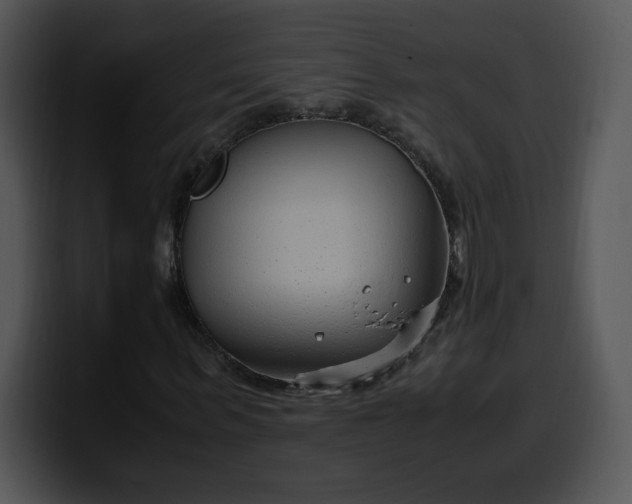 X0000099990963200806061541