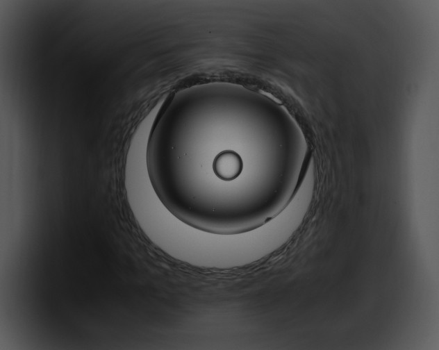 X0000099990965200806061541