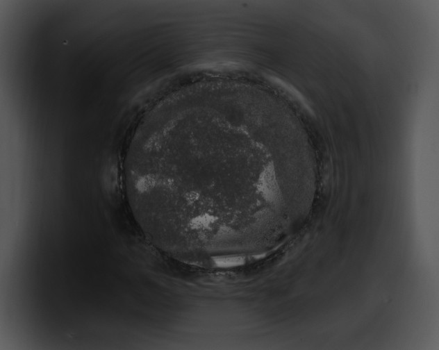 X0000099990966200806061541