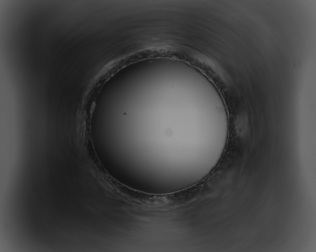 X0000099990968200806061541