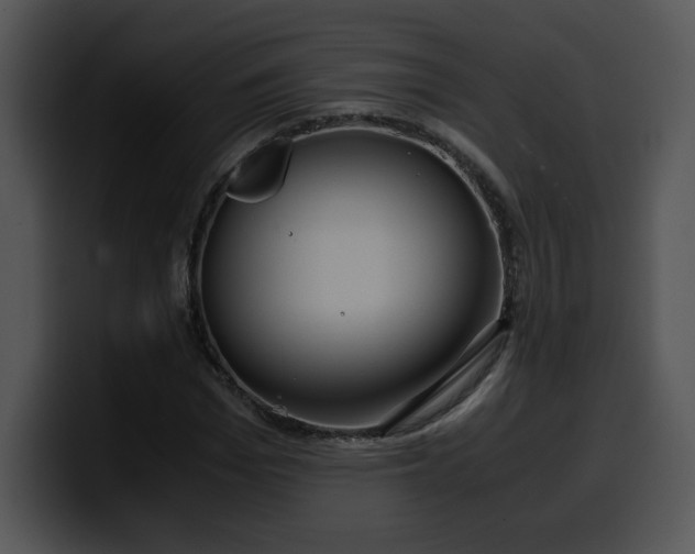 X0000099990969200806061541