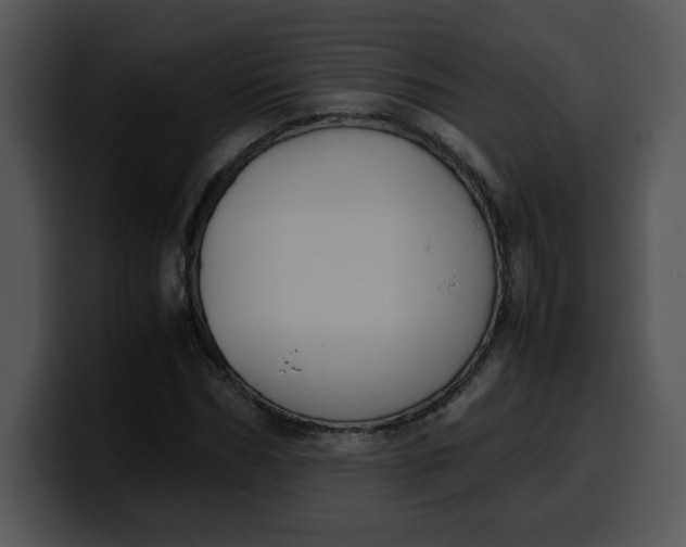 X0000099990970200806061541