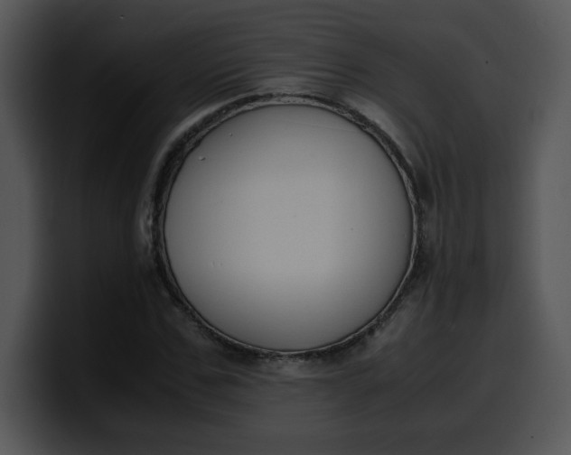 X0000099990971200806061541