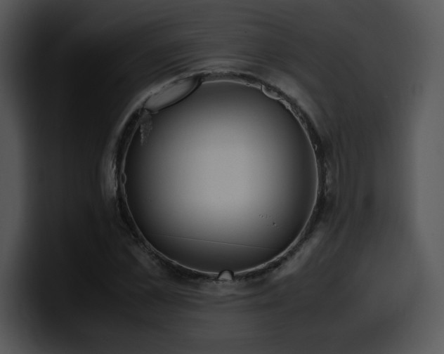 X0000099990973200806061541