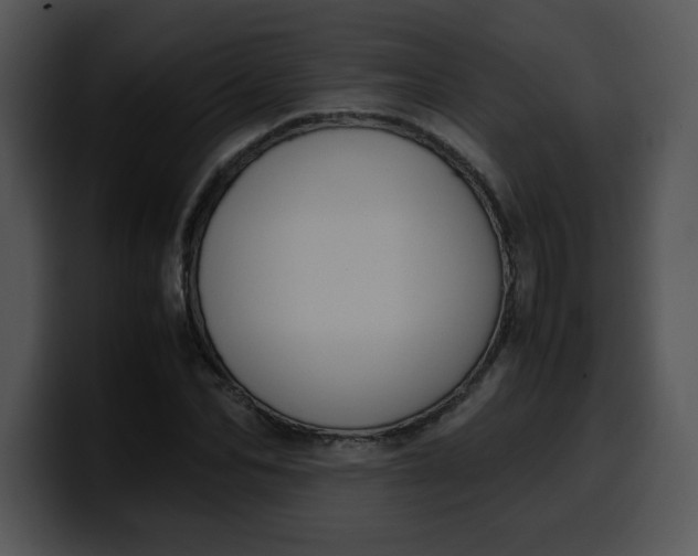 X0000099990974200806061541