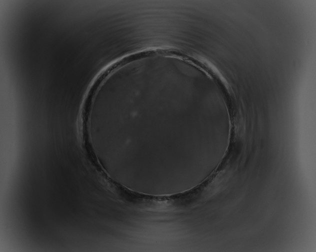 X0000099990975200806061541